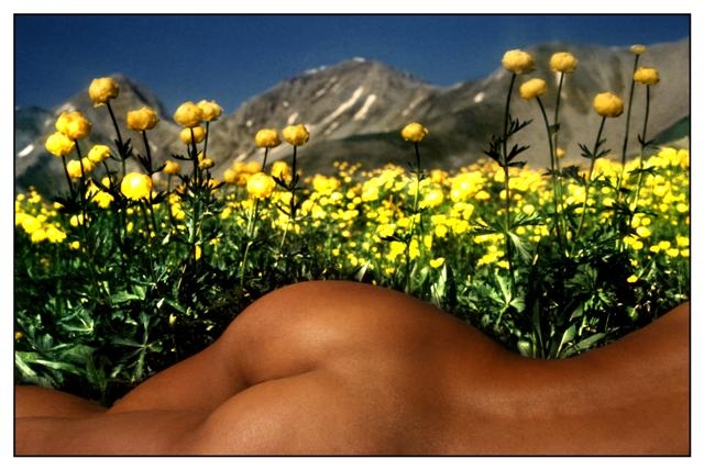 alpes 69 (Small).jpg